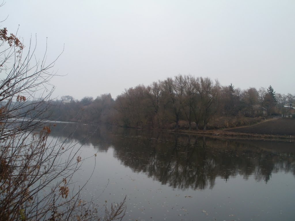 ~СТАВОК~