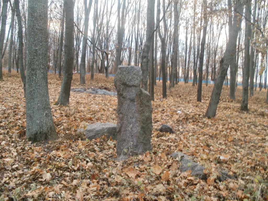 ~Польское кладбище~