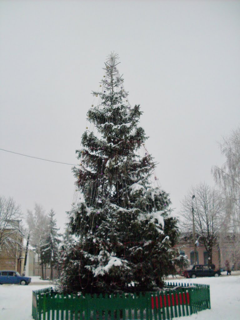 ~Теплицька ялинка 2012~