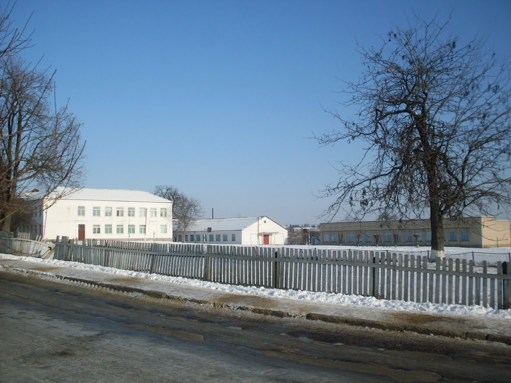 ~Школа~