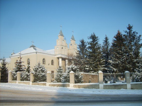 zyma