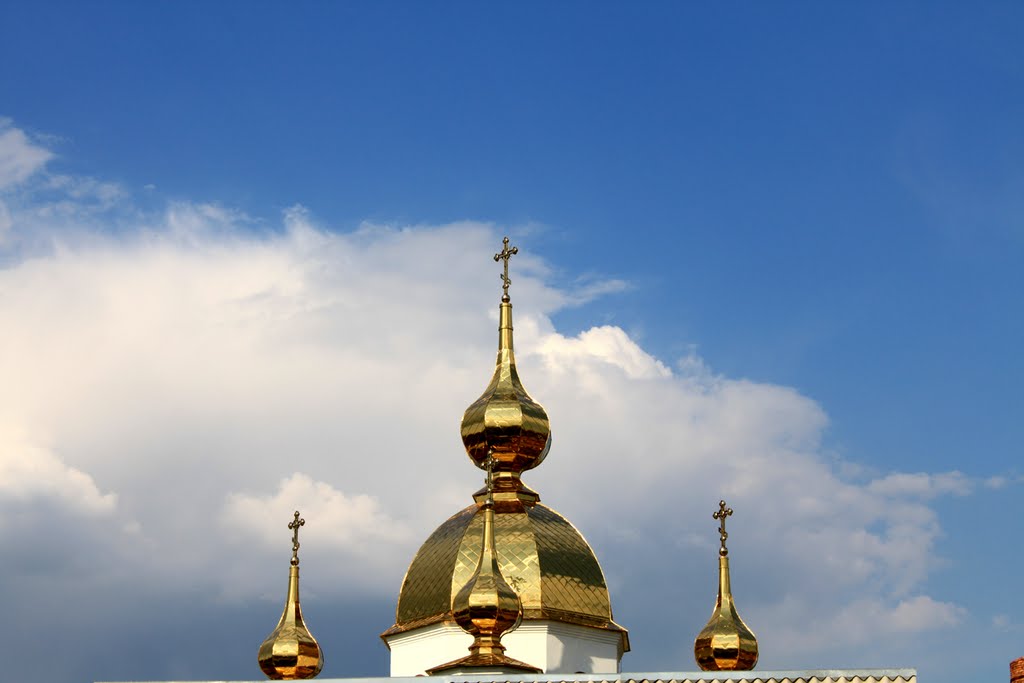 Ladyzhyn