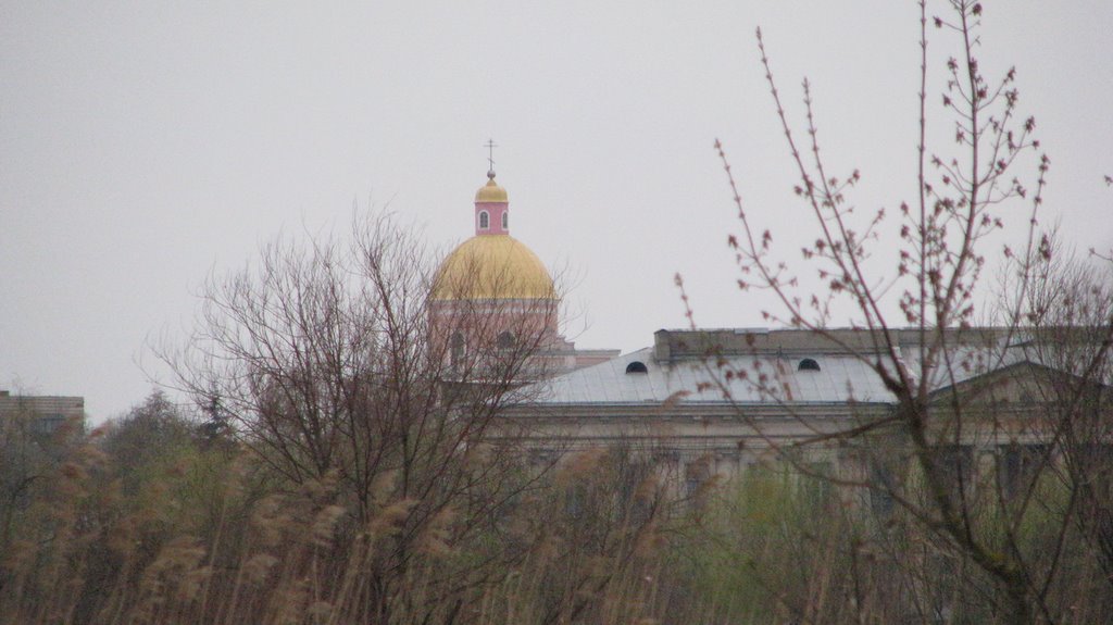 Палац Потоцьких і церква