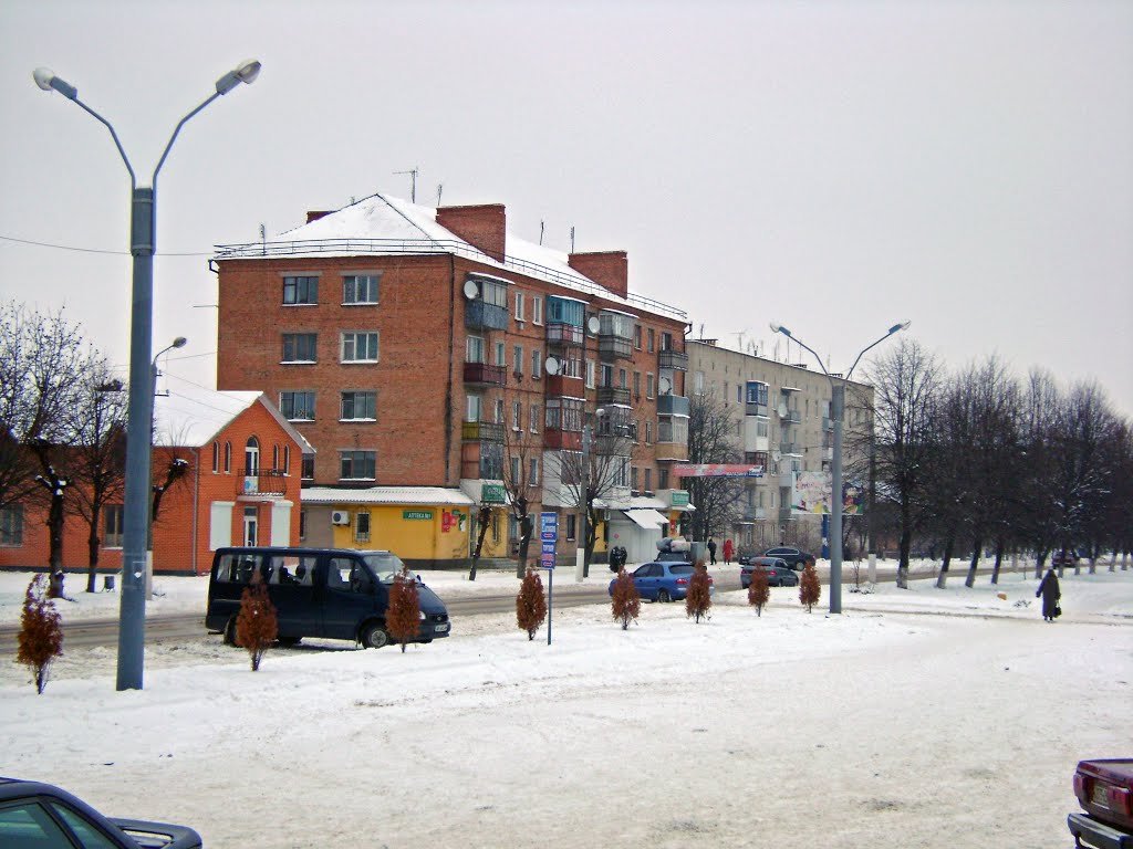 Дома на ул.Ленина
