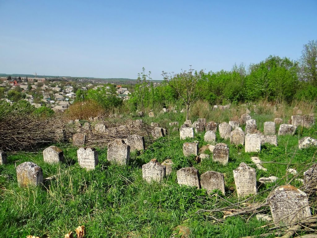 Тульчин - кіркуту, старое еврейское кладбище, Tulchyn - jewish cemetery, טולצין