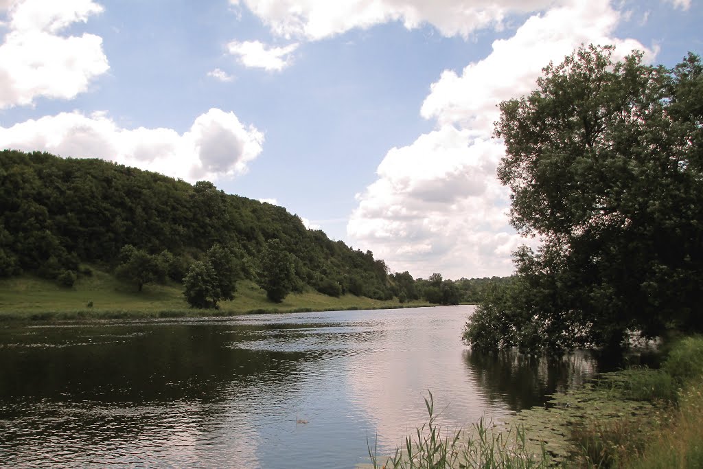 Ukraine/ The river Southern Bug