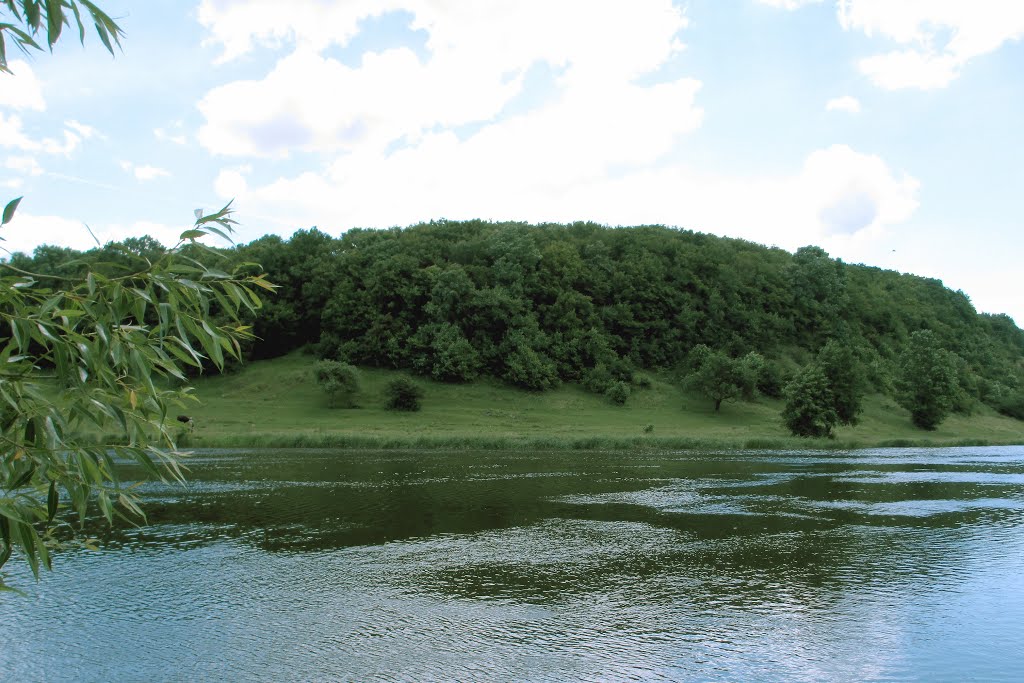 Ukraine/ The river Southern Bug