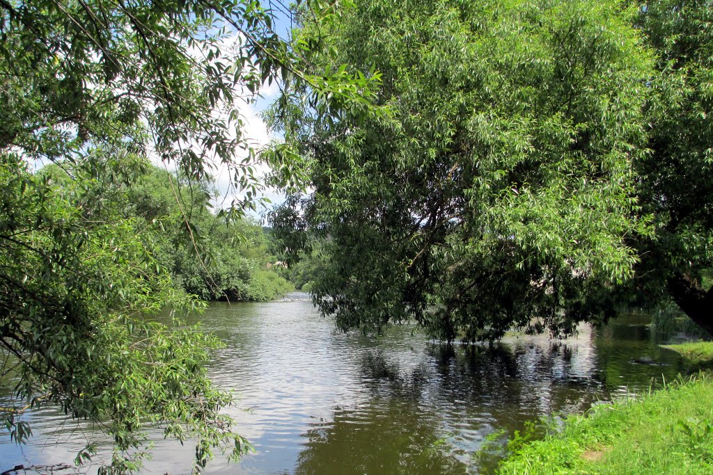 Ukraine/ The river Southern Bug