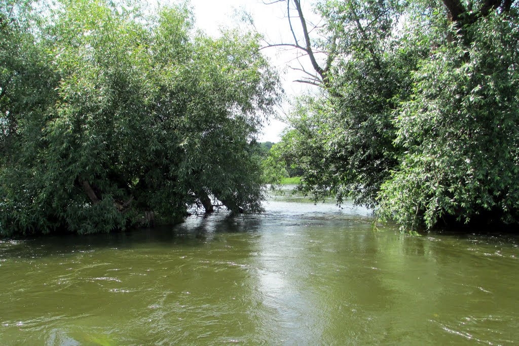 Ukraine/ The river Southern Bug