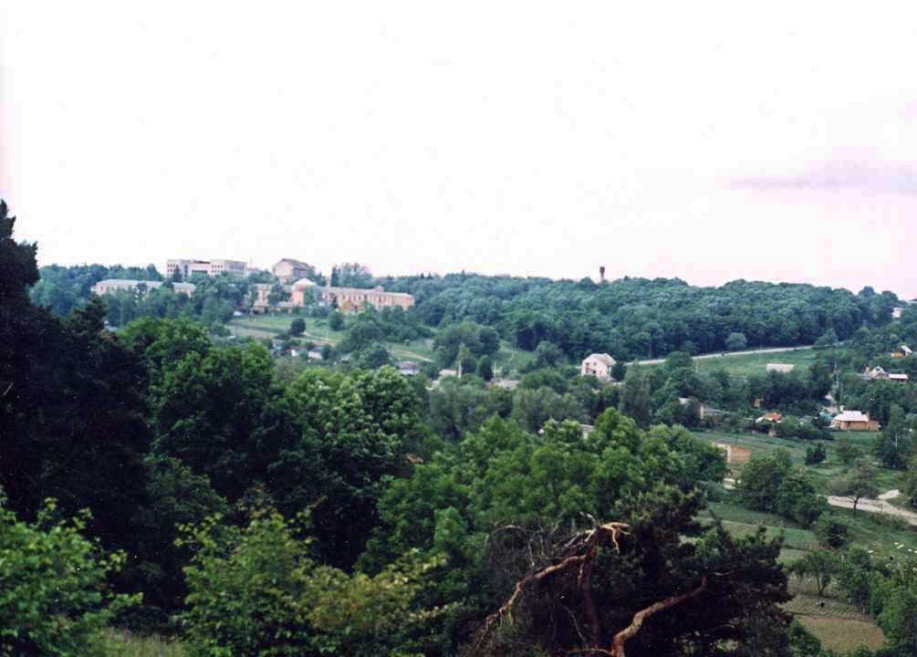 View on Tyvrov of Loganskoy Mountains