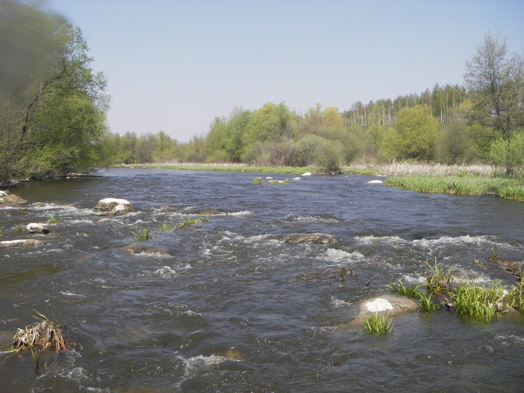перший поріг(вид вверх по течії)