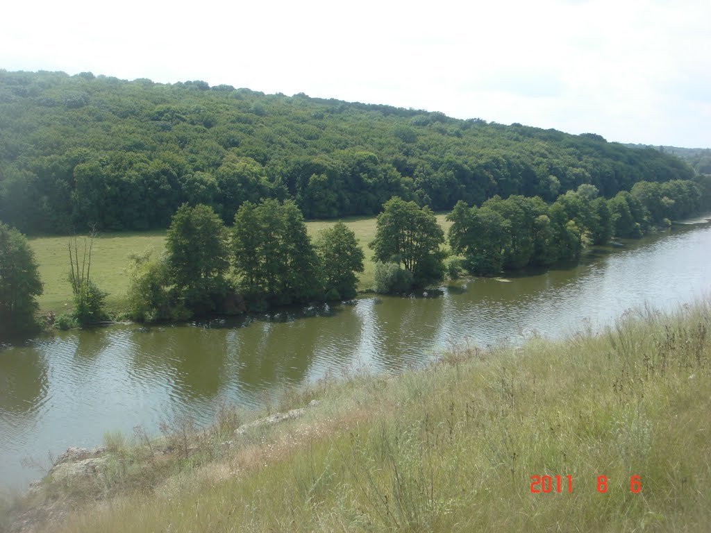 Правий берег Бугу та ліс