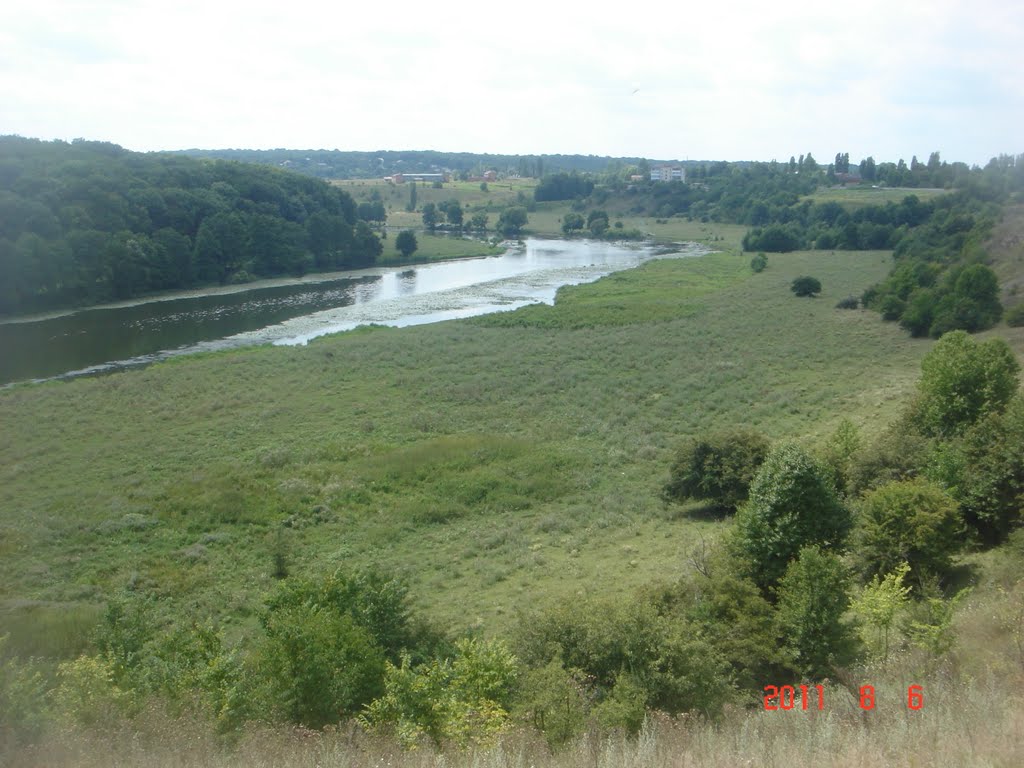 Заплавна ділянка