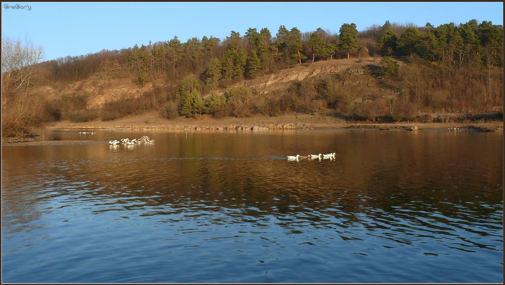 Захід сонця на Південному Бузі біля смт Тиврів / Sunset on the Southern Buh near the town Tyvriv 2011:12:11 16:09:01 Поділля / Podillya