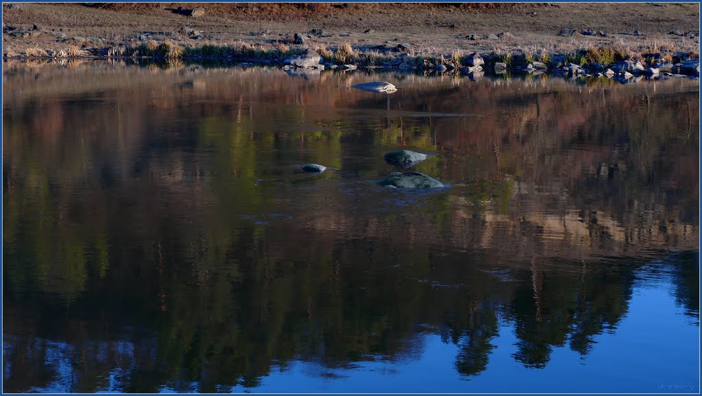 р.Південний Буг біля смт Тиврів / r.Southern Buh near the town Tyvriv 11.12.2011 15:26:33 Поділля / Podillya