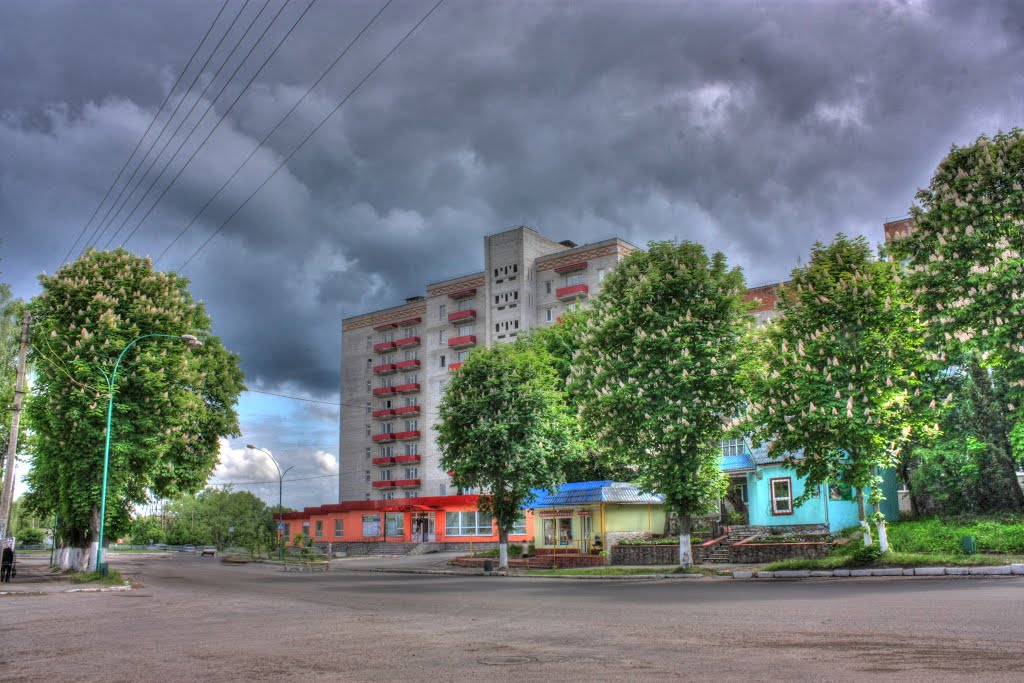 вул. Стлярчука, біля зуп. Горького (201 р.)