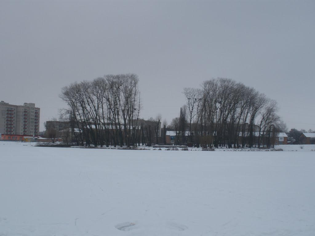 Ставок