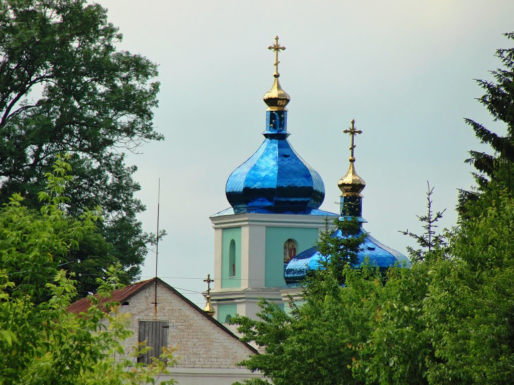 Вид на Свято - Троицкую Церковь с детсада