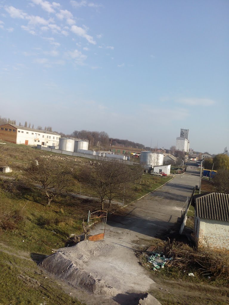 Хмельник