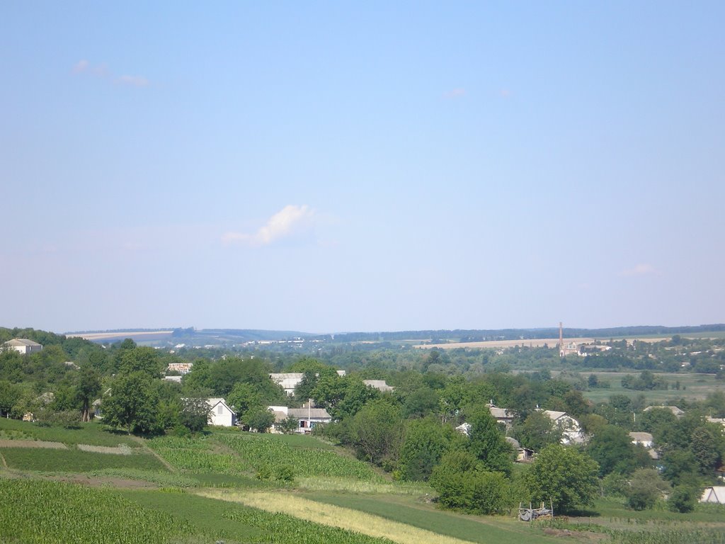 Chechelnick