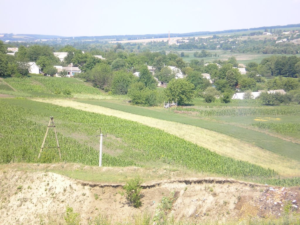 Chechelnick