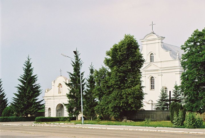 костел в шаргороді