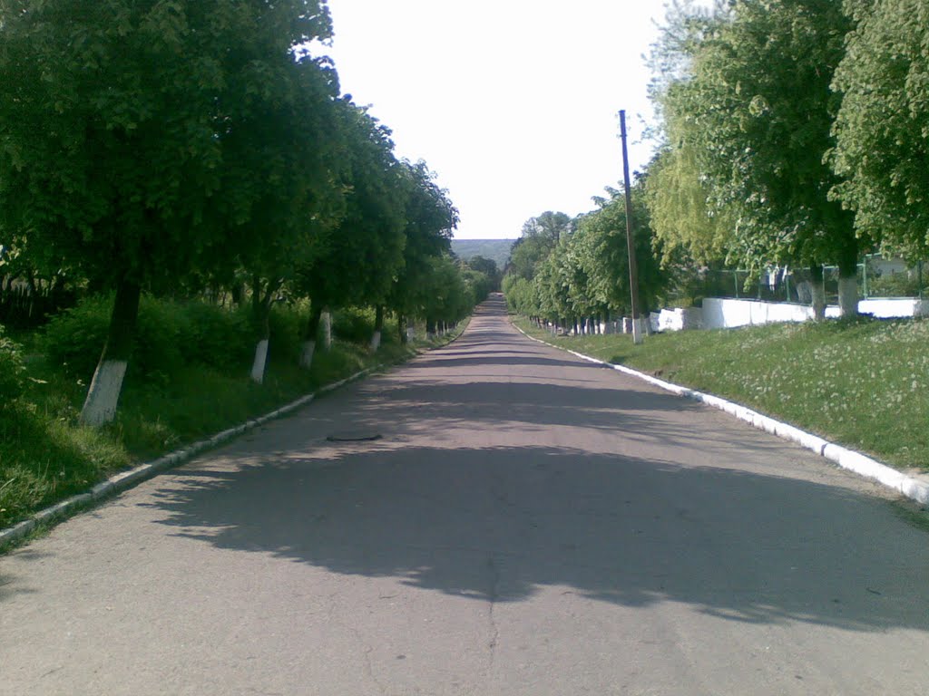 вул. Піонерська