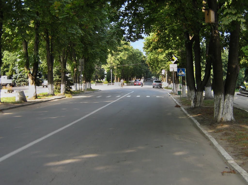 ►Центральная улица