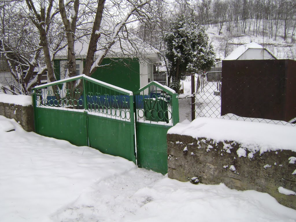 Soroca