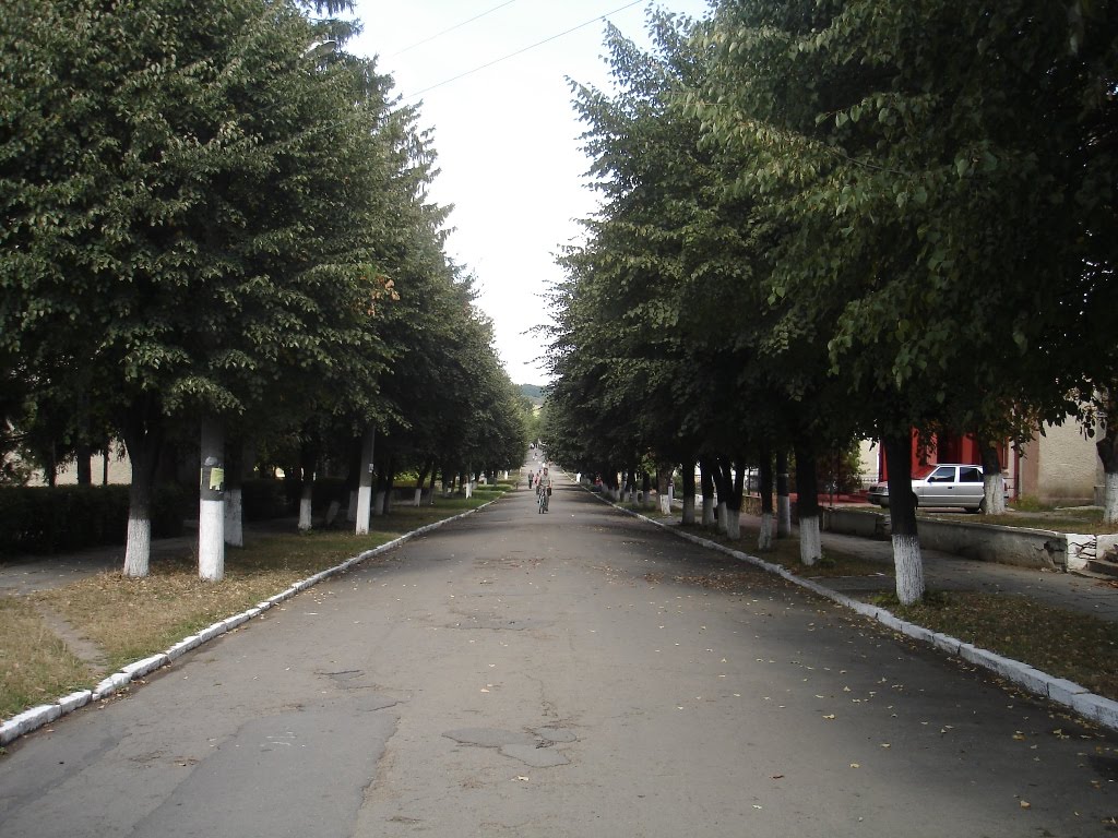 хз, яка вулиця?