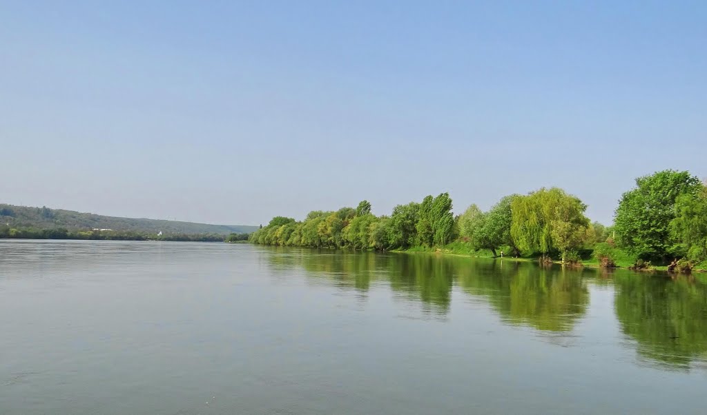 Ямпільський берег Дністера, Dnister river, Днестр возле Ямполя