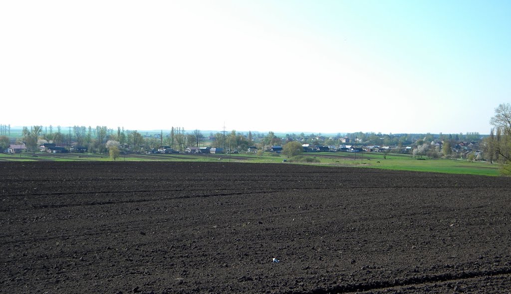 с. Старики