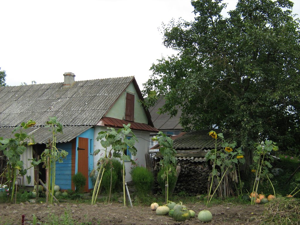 Kiriciuk