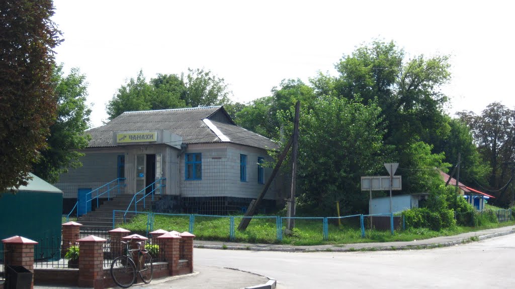 БЕРЕСТЕЧКО