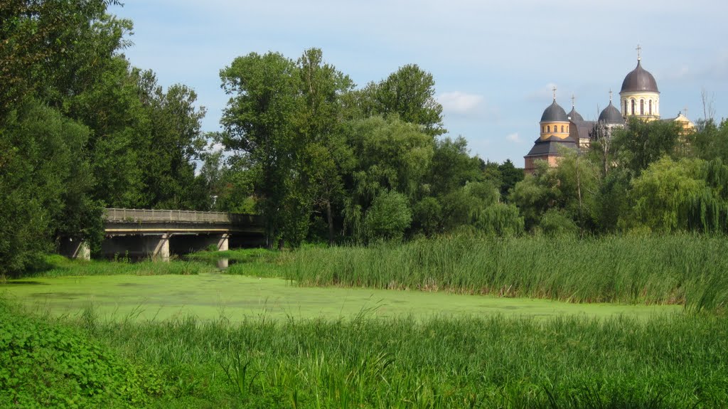 БЕРЕСТЕЧКО