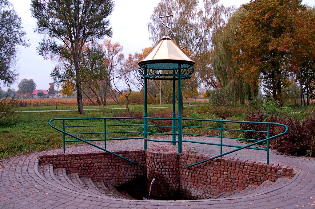 Святая вода -источника Пресвятой Троицы.