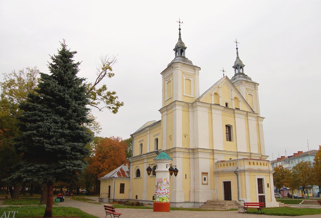 Костел Иоакима и Анны 1775г.Г Владимир-Волынский.