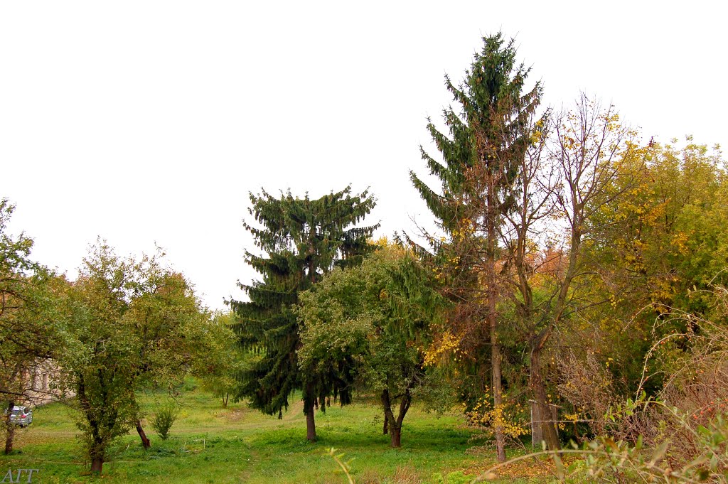На территории древнего городища.
