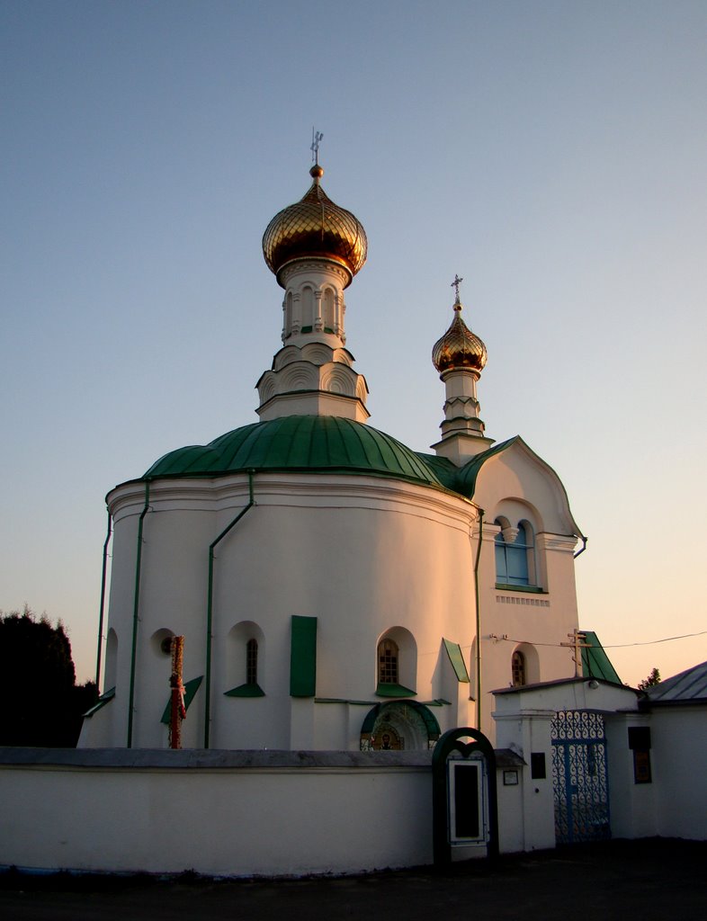 Васильківська церква, The Vasylko church