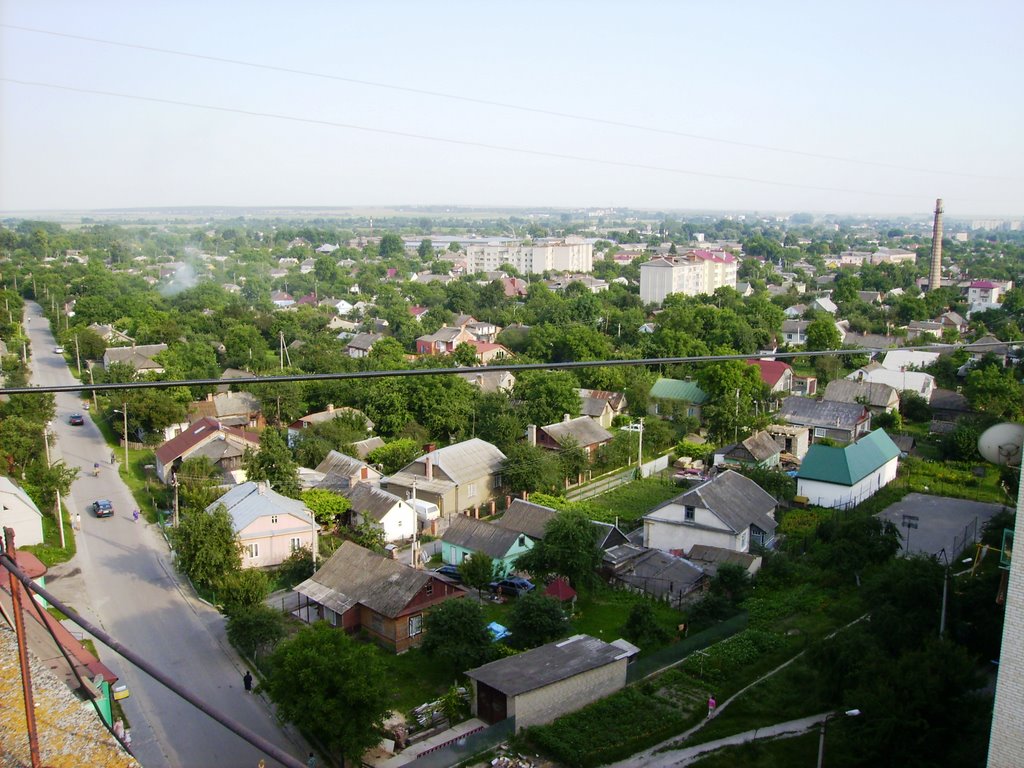 Виды с крыши 2