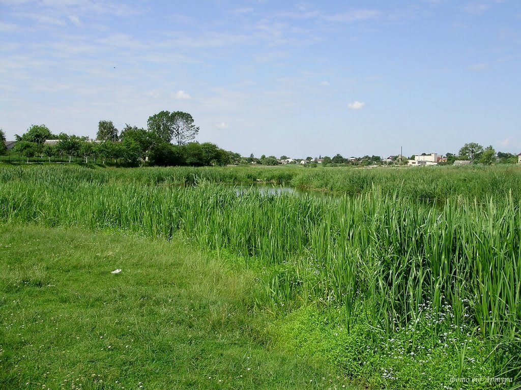 річка Луга 2008