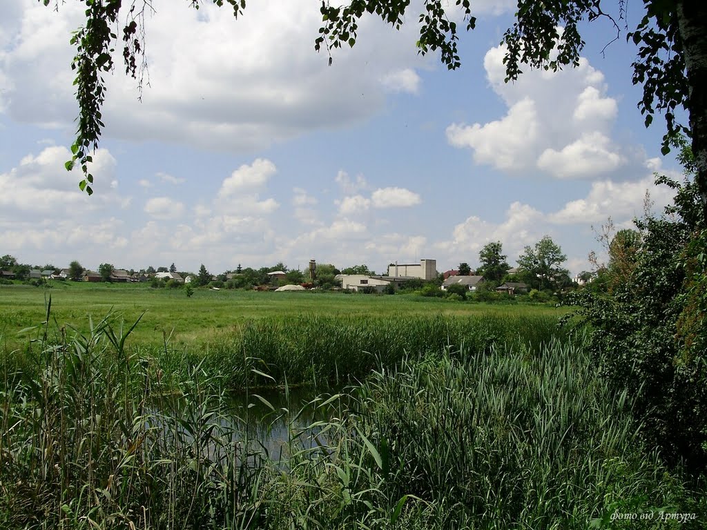 річка Луга 07.2010
