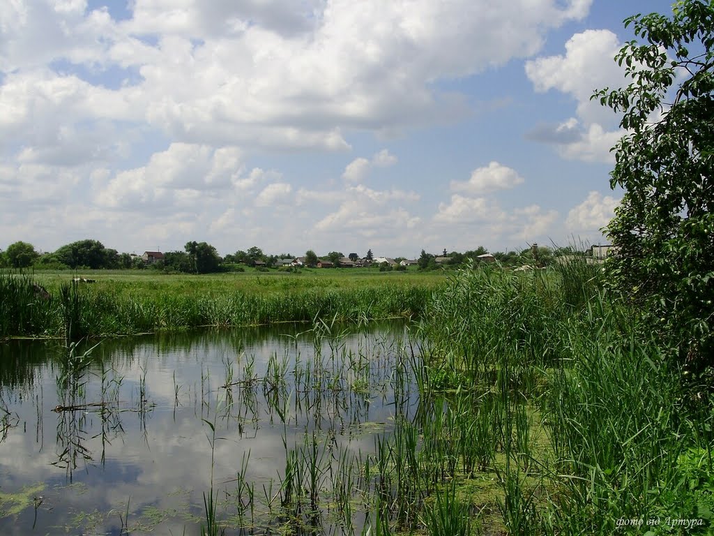 річка Луга 07.2010