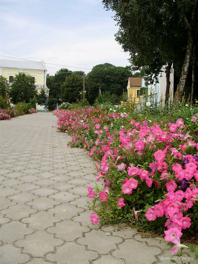 Володимир 24.08.2010