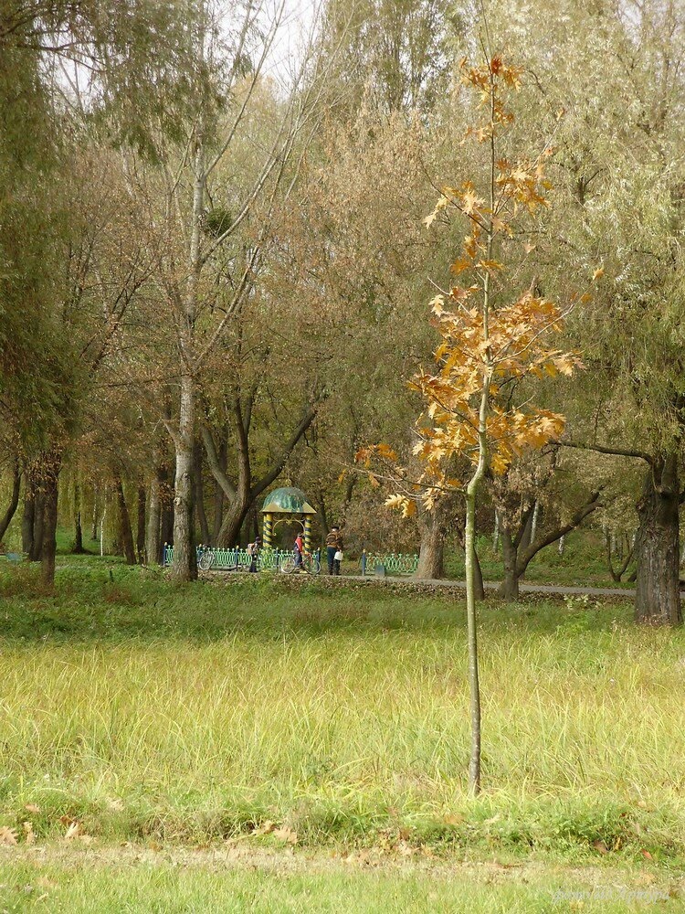 Володимир. Словянський парк. джерело 10.2010