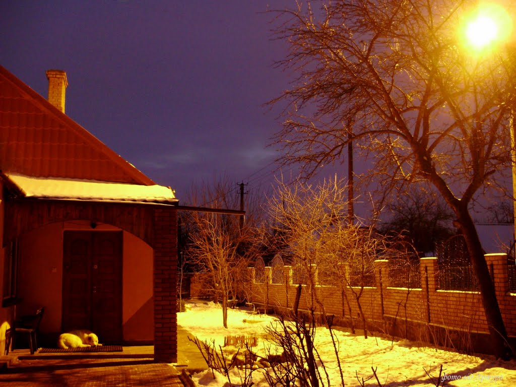 ніч / night