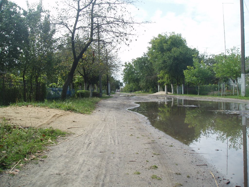 Bandgi str.