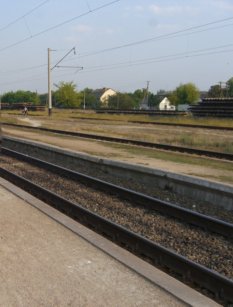 Перрон Голобы