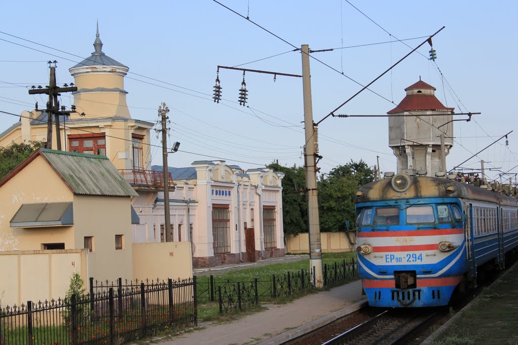 Голобы