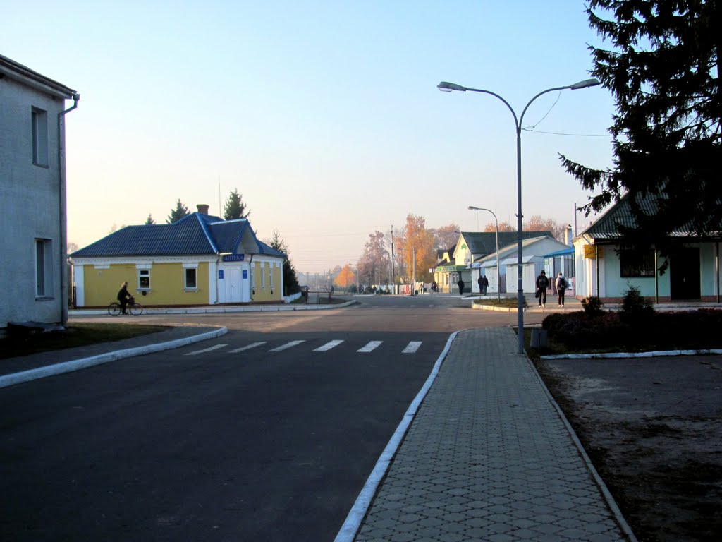 Централья улица с.Голобы.